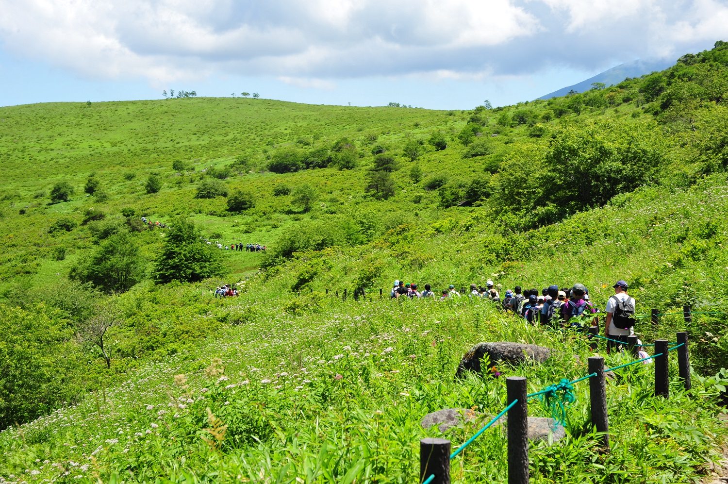霧ヶ峰｜長野県諏訪市、茅野市、下諏訪町 | 未来に残したい草原の里100選